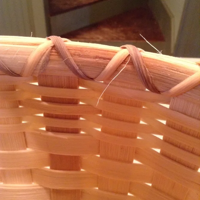 Reed Hairs