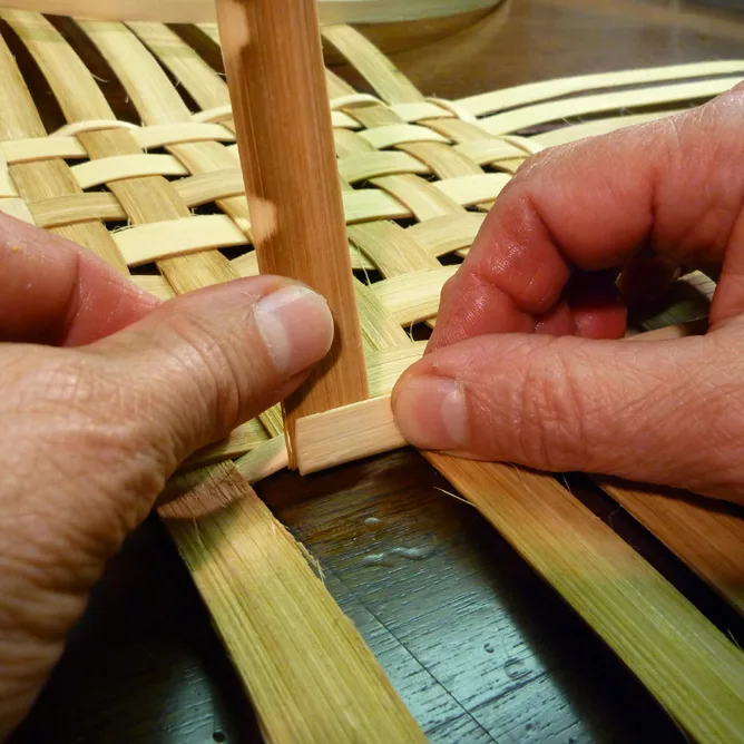Beginning the weaver